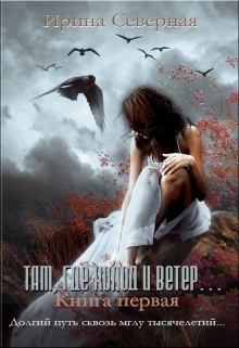 Обложка книги - Там, где холод и ветер (СИ) - Ирина Северная