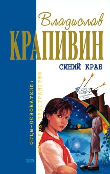Обложка книги - Мальчишки, мои товарищи - Владислав Петрович Крапивин