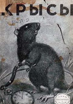 Обложка книги - Крысы - Альфред Эдмунд Брэм