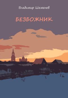 Обложка книги - Безбожник - Владимир Шеменев