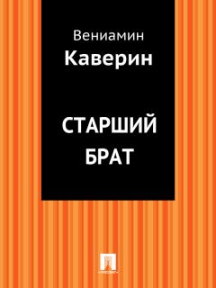 Книга - Старший брат. Вениамин Александрович Каверин - читать в Litvek