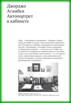 Книга - Автопортрет в кабинете. Джорджо Агамбен - читать в Litvek