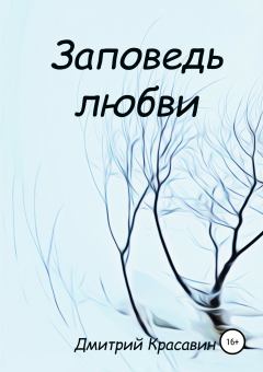 Обложка книги - Заповедь любви - Дмитрий Красавин