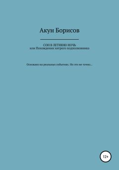 Обложка книги - Сон в летнюю ночь, или Похождения хитрого подполковника - Акун Борисов