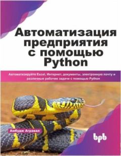 Книга - Автоматизация предприятия с помощью Python. Амбудж Агравал - читать в Litvek