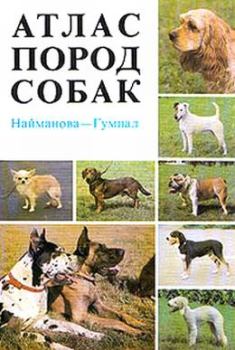 Книга - Атлас пород собак. Диана Найманова - читать в Litvek