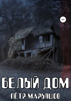 Книга - Белый Дом. Пётр Александрович Марьяшов - читать в Litvek