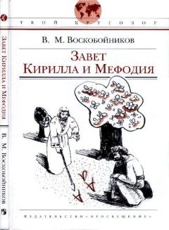 Книга - Завет Кирилла и Мефодия. Валерий Михайлович Воскобойников - читать в Litvek
