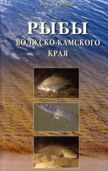 Обложка книги - Рыбы Волжко-Камского края - В. А. Кузнецов