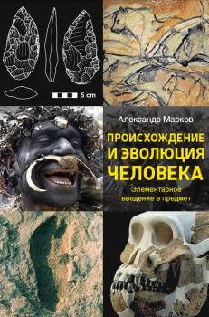 Обложка книги - Происхождение и эволюция человека - Александр Владимирович Марков (автор боевиков)