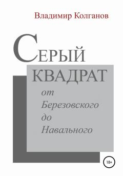 Книга - Серый квадрат: от Березовского до Навального. Владимир Алексеевич Колганов - читать в Litvek