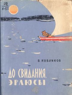 Книга - До свидания, эрлюсы. Владимир Васильевич Кобликов - читать в Litvek