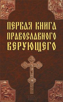 Книга - Первая книга православного верующего. Павел Михалицын - читать в Litvek