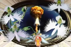 Книга - Когда расцветают бомбы. Сергей Битюцкий - читать в Litvek