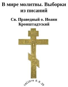 Книга - В мире молитвы. Выборки из писаний. протоиерей Иоанн Кронштадтский - прочитать в Litvek