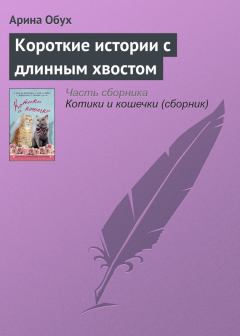 Обложка книги - Короткие истории с длинным хвостом - Арина Обух