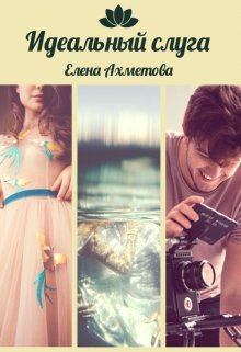 Обложка книги - Идеальный слуга  - Елена Ахметова
