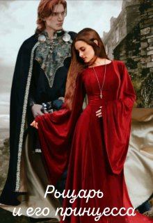 Книга - Рыцарь и его принцесса. Марина Дементьева - читать в Litvek