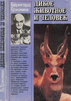 Книга - Дикое животное и человек. Бернгард Гржимек - прочитать в Litvek