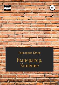 Книга - Кипение. Юлия Григорова - читать в Litvek