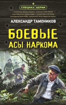 Книга - Боевые асы наркома. Александр Александрович Тамоников - читать в Litvek