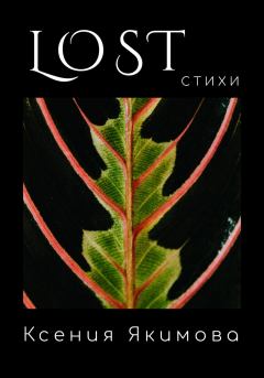 Книга - Lost. Стихи. Ксения Якимова - читать в Litvek