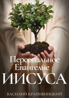 Книга - Персональное Евангелие Иисуса. Василий Крапивницкий - читать в Litvek