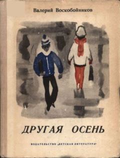 Обложка книги - Другая осень - Валерий Михайлович Воскобойников