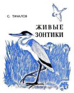 Книга - Живые зонтики. Серафим Николаевич Тачалов - прочитать в Litvek