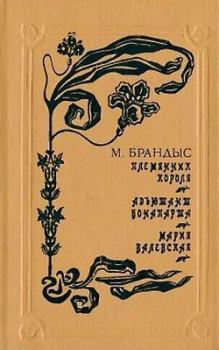 Книга - Адъютант Бонапарта. Мариан Брандыс - читать в Litvek
