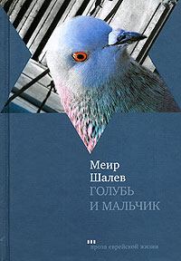 Обложка книги - Голубь и Мальчик - Меир Шалев