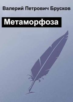 Книга - Метаморфоза. Валерий Петрович Брусков - прочитать в Litvek