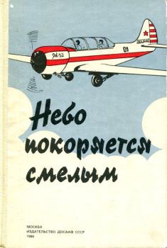 Обложка книги - Небо покоряется смелым - Светлана Григорьевна Смирнова