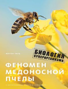 Обложка книги - Феномен медоносной пчелы. Биология суперорганизма - Юрген Тауц
