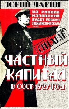 Обложка книги - Частный капитал в СССР - Юрий Ларин
