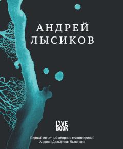 Книга - Стихи. Андрей «Дельфин» Лысиков - читать в Litvek