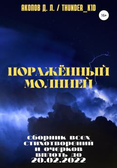 Книга - Поражённый молнией. Давид Левонович Акопов (Thunder_k1d) - читать в Litvek