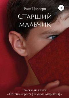 Книга - Старший мальчик. Рона Цоллерн - читать в Litvek
