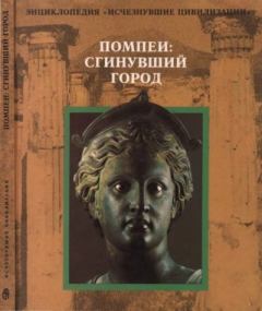 Книга - Помпеи: сгинуший город.  Коллектив авторов - прочитать в Litvek