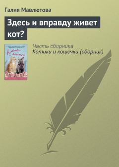 Книга - Здесь и вправду живет кот?. Галия Сергеевна Мавлютова - прочитать в Litvek