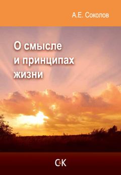 Обложка книги - О смысле и принципах жизни - Алексей Емельянович Соколов
