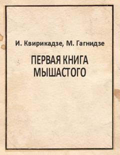 Обложка книги - Первая книга Мышастого - Ирина Квирикадзе