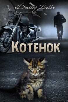 Обложка книги - Котёнок (СИ) - Дмитрий Белов