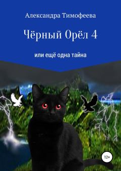 Обложка книги - Чёрный Орёл 4 или ещё одна тайна - Александра Сергеевна Тимофеева