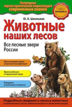 Книга - Животные наших лесов. Все лесные звери России. Юлия Константиновна Школьник - читать в Litvek