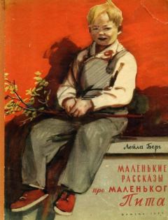 Книга - Маленькие рассказы про маленького Пита. Лейла Берг - читать в Litvek