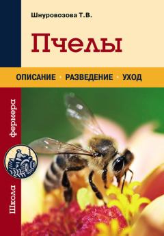 Обложка книги - Пчелы - Татьяна Владимировна Шнуровозова