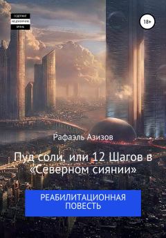 Обложка книги - Пуд соли, или 12 Шагов в «Северном сиянии» - Рафаэль Азизов