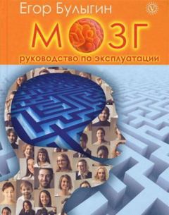 Обложка книги - Мозг. Руководство по эксплуатации - Егор Булыгин