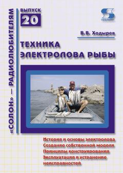 Обложка книги - Техника электролова рыбы - Виктор Валерьевич Ходырев